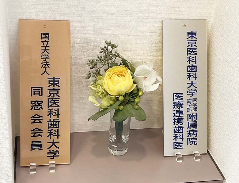 秋葉原・御徒町の歯医者、中島歯科クリニックの東京医科歯科大学病院との連携体制